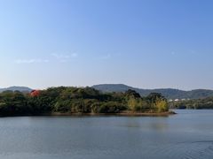 -佛手湖郊野公园