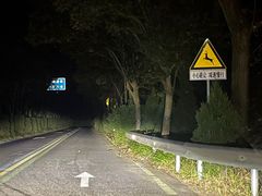 -黄海国家森林公园