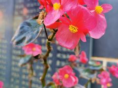 -海源寺