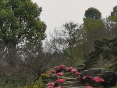 -秀丽东方