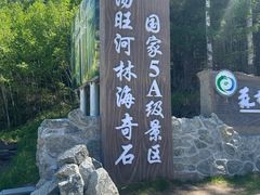 -汤旺河林海奇石景区