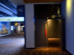 -万达影城(蜀都万达广场IMAX店)