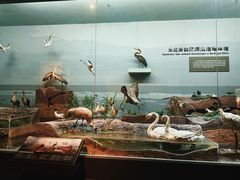 -大庆市博物馆