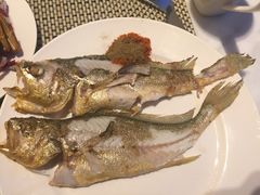 -都会尚膳·海鲜自助餐厅(重庆万豪酒店)