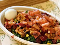 -油梨树AVOCADO TREE(顺义新国展店)