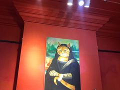 -猫色咖啡·猫咖