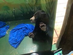 绿豆汤-哥老官重庆美蛙鱼头(宝山龙湖店)