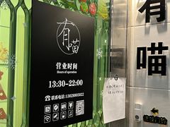 -有喵·猫咖·狗咖·30几只猫10只小狗(岗厦店)