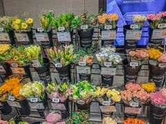 -盒马鲜生(财富领域店)