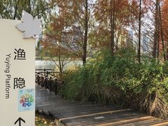 -尚贤河湿地
