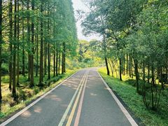 -宜兴龙背山森林公园
