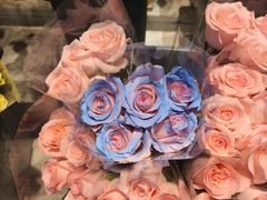 -循礼门鲜花花市(武汉循礼门店)