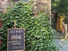 -常德桃花源景区