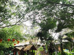 -海南热带野生动植物园