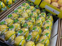 -沈阳市八家子水果批发市场