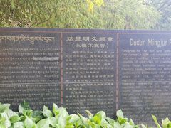-罗布林卡