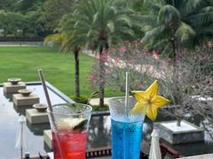 -海南清水湾莱佛士酒店