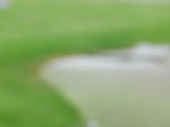 -万柳高尔夫俱乐部