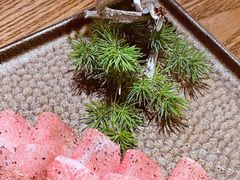 -樱宿日式和牛烧肉(五道口店)