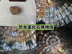 -中国西峡恐龙遗迹园
