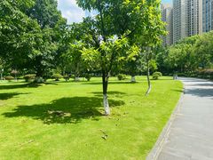 -成都南湖公园