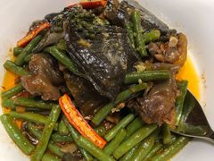 姜汁甲鱼-临江宴(陆家嘴店)