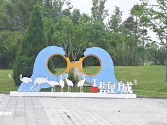 -盐城丹顶鹤湿地生态旅游区