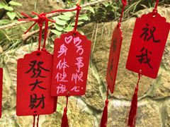 -东明山森林公园