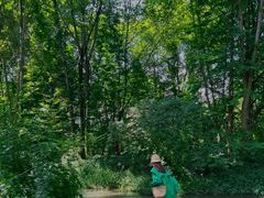 -桤木河湿地公园