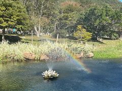 -普陀山风景名胜区-千步大沙