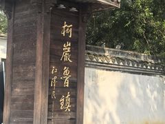 -鲁镇