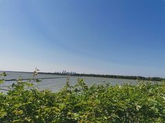 -贡湖湾湿地公园