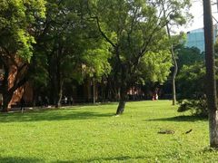 -中山大学学者灵芝(园南路店)