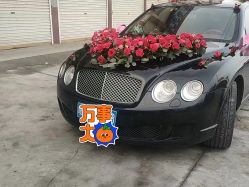 -蚂蚁婚车