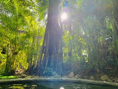 -碧桂园润杨溪谷温泉酒店