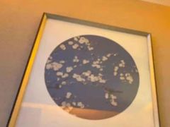 -汐悦汇足疗·星级·订制·唤醒SPA(西客站)