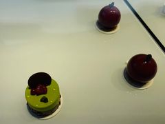 -BLACKSWAN黑天鹅(环球店)