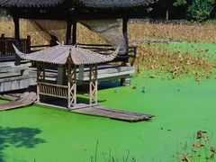 -兰亭风景区