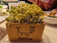 -周师兄大刀腰片火锅(洪崖洞旗舰店)