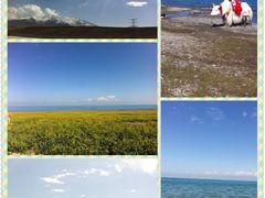 -青海湖国家重点风景名胜区