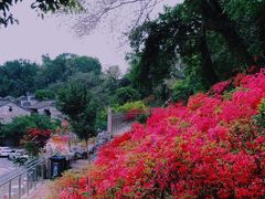 -老门东历史文化街区
