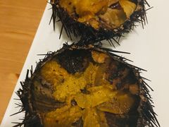 -海胆小馆(东北水饺·春柳店)