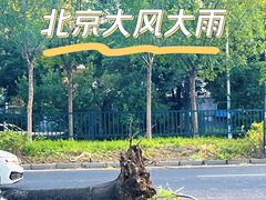 -悠乐汇