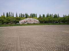 景点-上海海湾国家森林公园