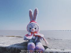 -南汇嘴观海公园