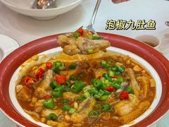 -聚福山莊·寻味顺德(北滘店)