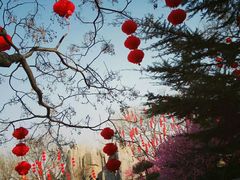 -中国翰园碑林