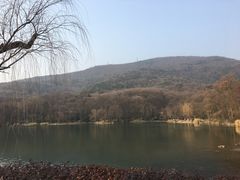 -紫霞湖公园