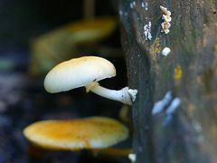 -青峰峡国家森林公园