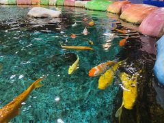 -顺德南宏海立方海洋公园